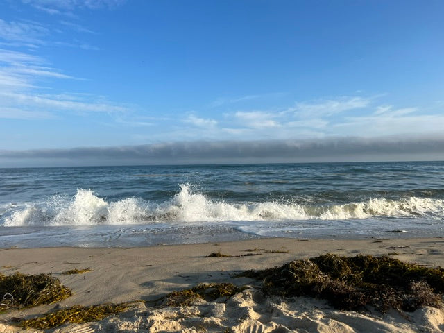 Martha's Vineyard : A Place That Shaped Me