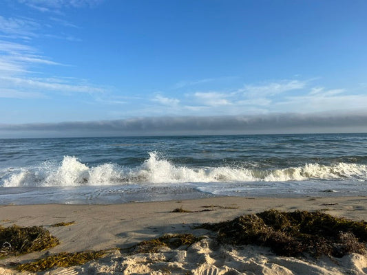 Martha's Vineyard : A Place That Shaped Me